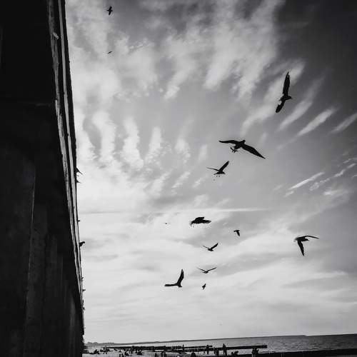 Photo #6564298