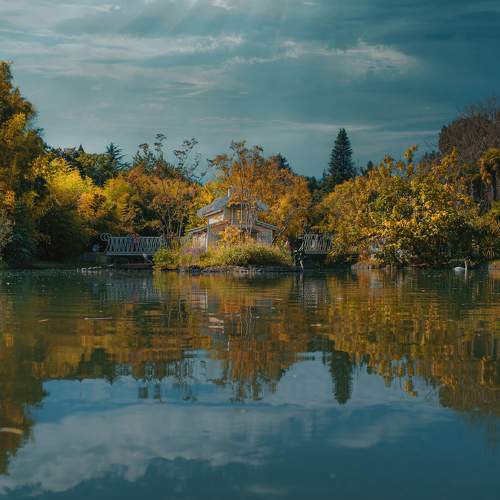 Photo #6564490