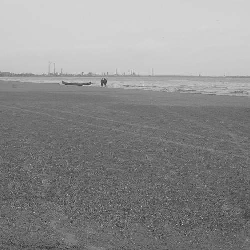 Photo #6564520