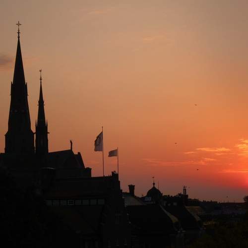 Photo #6564670
