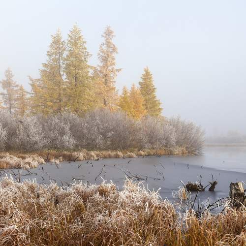 Фотография #6564679