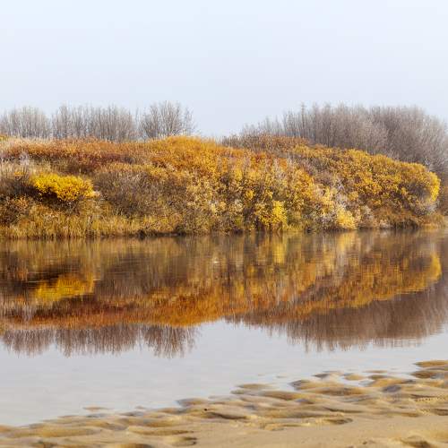 Фотография #6564718