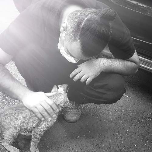 Photo #6564968
