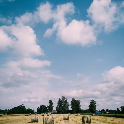 Photo #6565000