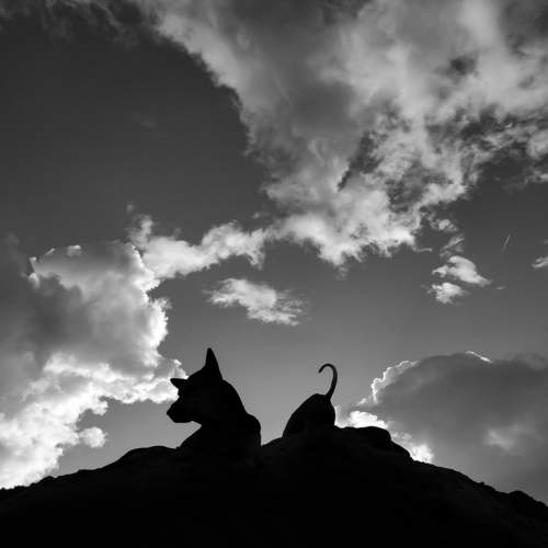 Photo #6565041