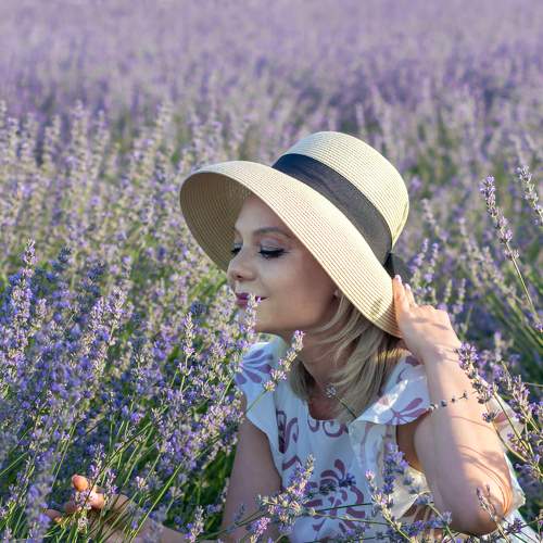 Photo #6565071