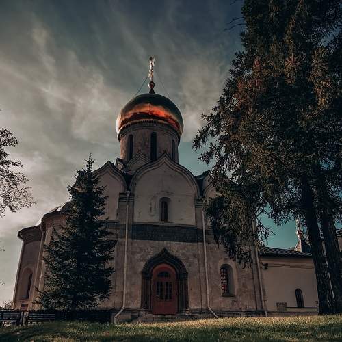 Photo #6565110