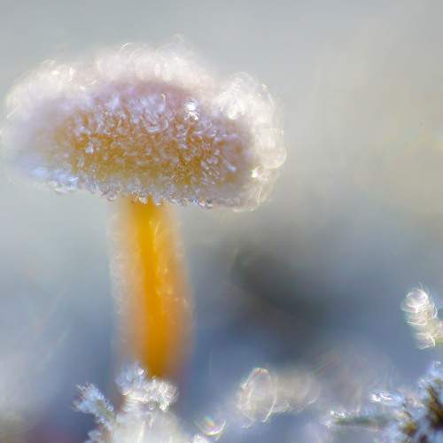 Photo #6565150