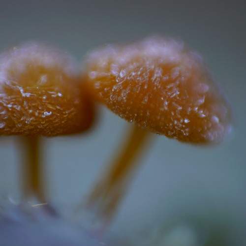 Photo #6565154