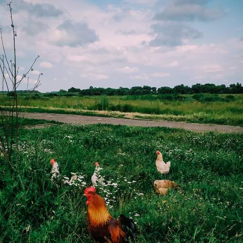 Photo #6565159