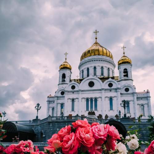 Photo #6565160
