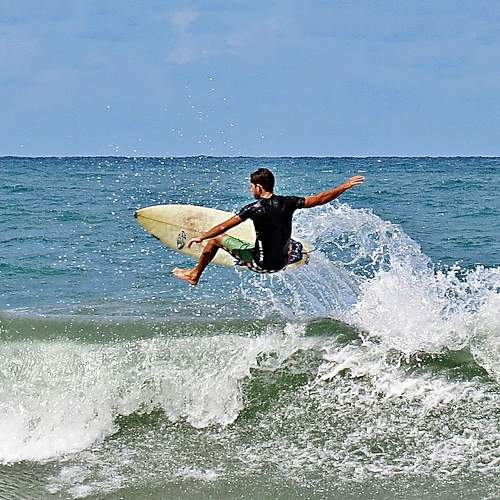 Surf