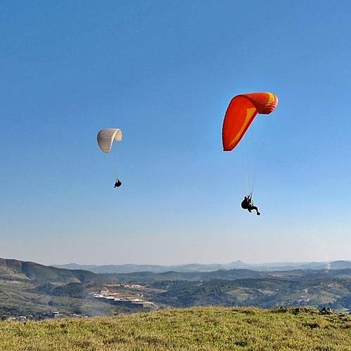 Photo #6565204