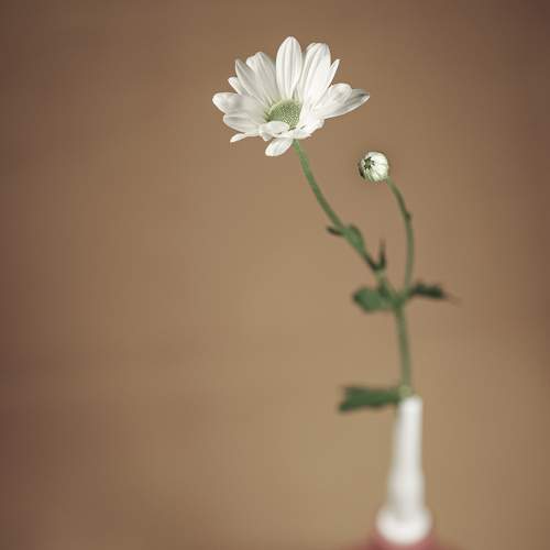 Photo #6565274
