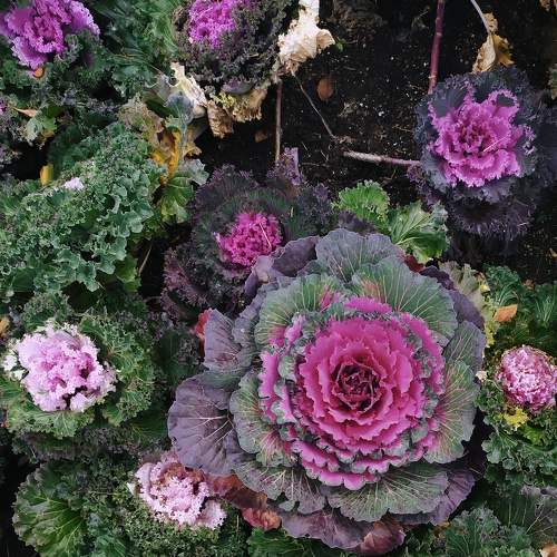 Photo #6565352