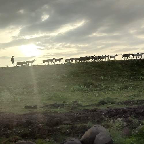 Photo #6565539