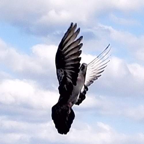 Photo #6565552