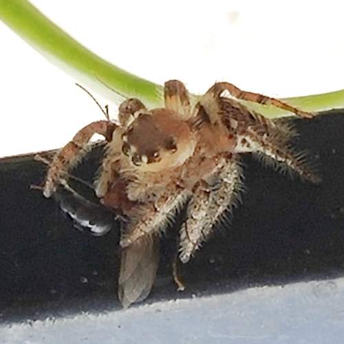 Photo #6565646