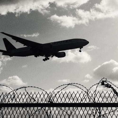 Photo #6565674