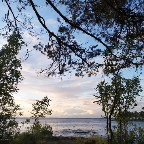 Photo #6565725