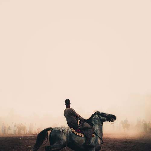 Photo #6565972