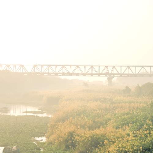In the fog of dawn