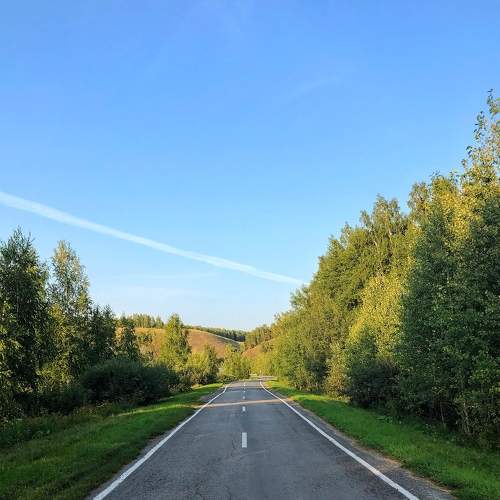 Photo #6566044