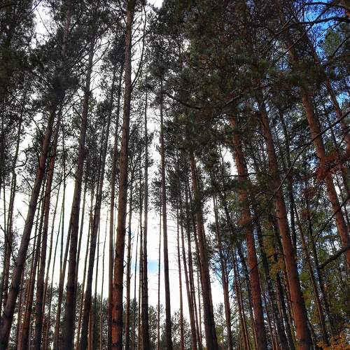 Photo #6566048