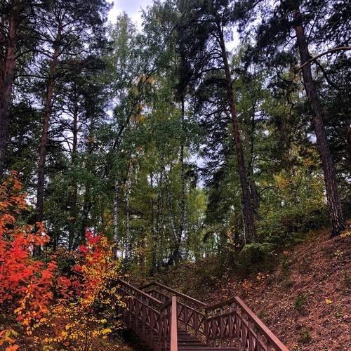 Photo #6566050