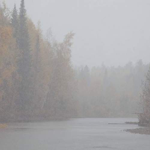 Photo #6566101