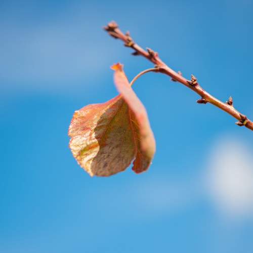 Photo #6566110