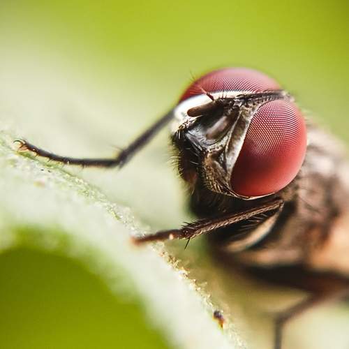 Photo #6566254