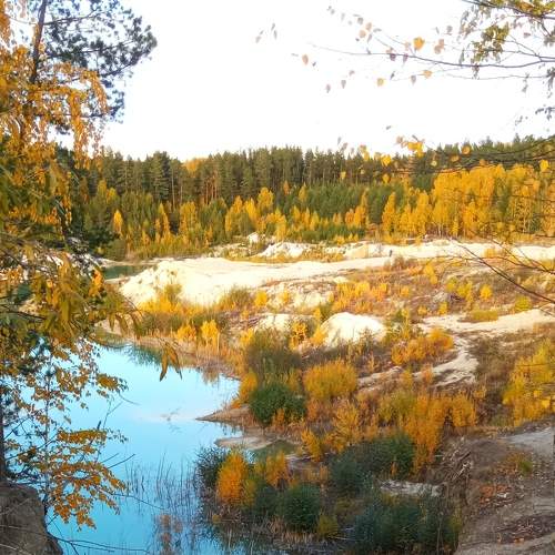 Photo #6566304