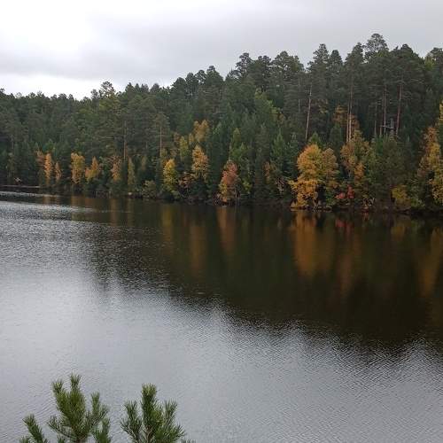 Photo #6566337