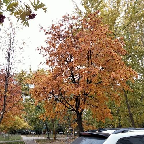 Photo #6566352