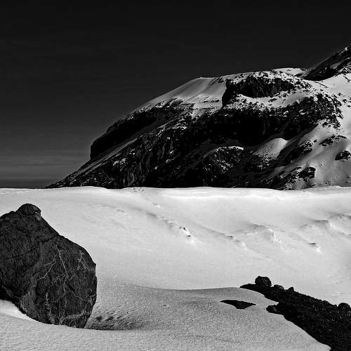 Photo #6566443