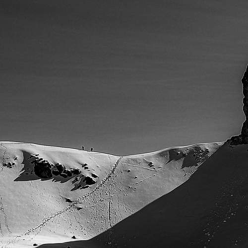 Photo #6566444