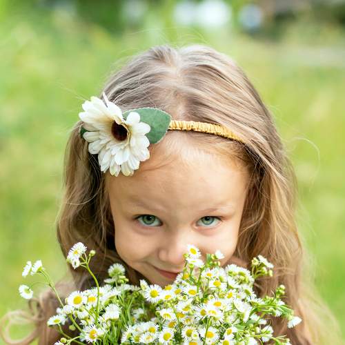 Photo #6566525