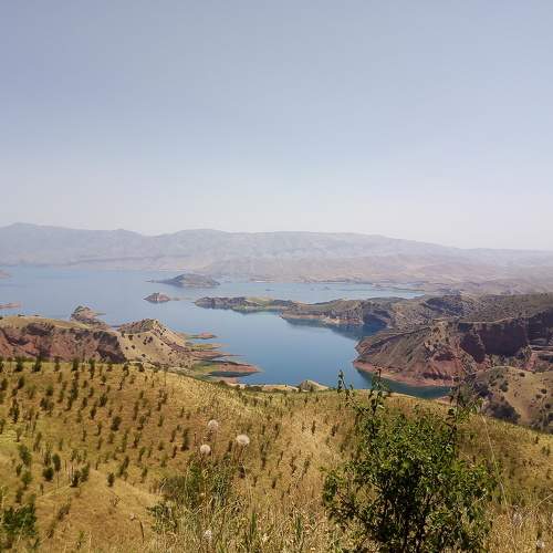 Photo #6566546