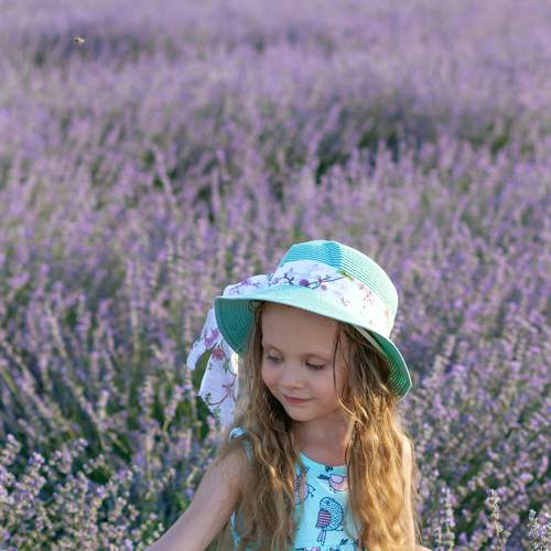 Photo #6566555