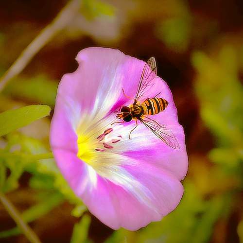 Photo #6566594