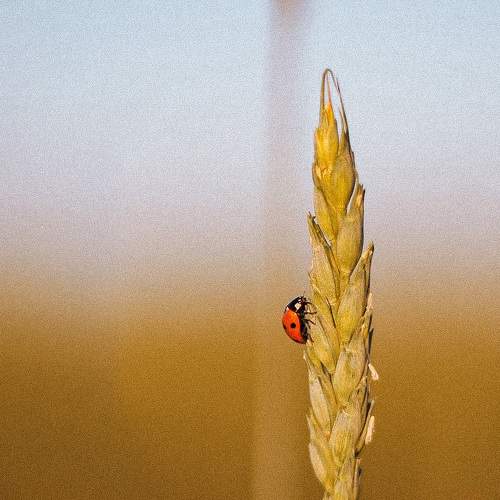 Photo #6566660