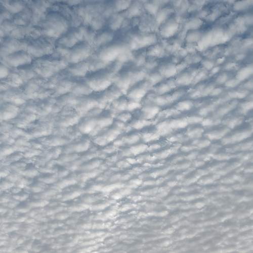 Photo #6566687