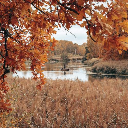 Photo #6566699