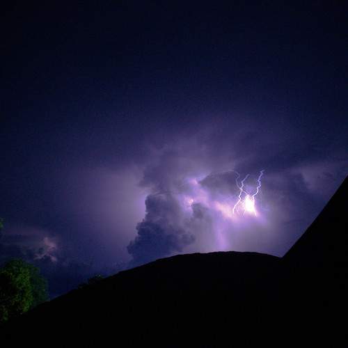 Photo #6566846