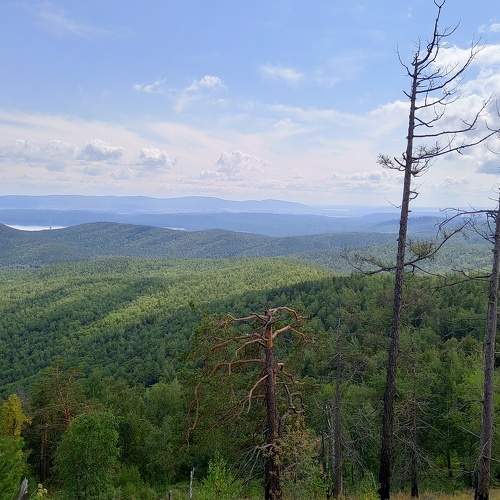 Photo #6566882