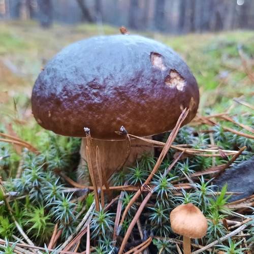 Photo #6567156