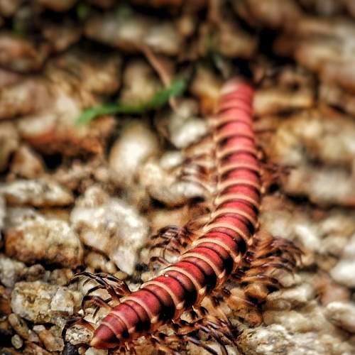 Photo #6567233