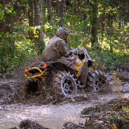 Photo #6567355