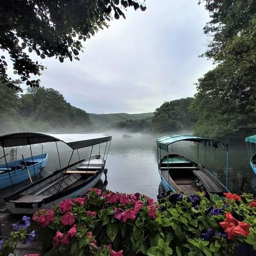 Photo #6567364